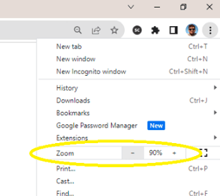 Browser Zoom